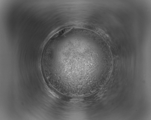 X0000072510051200607211408