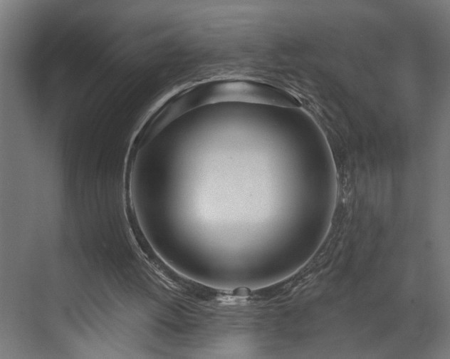 X0000072510052200607211408