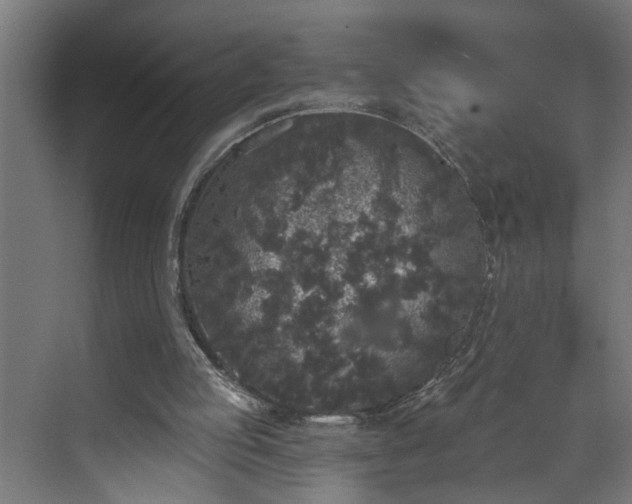 X0000072510053200607211408