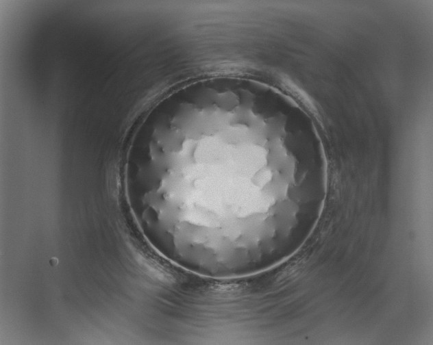 X0000072510059200607211408