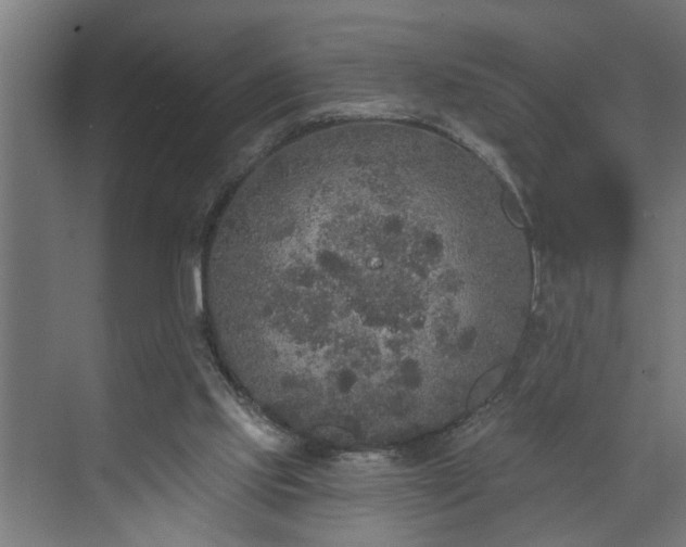 X0000072510061200607211408