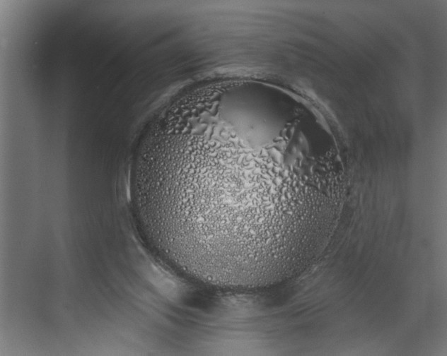 X0000072510062200607211408