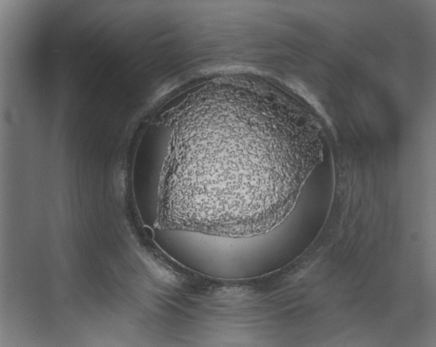 X0000072510063200607211408