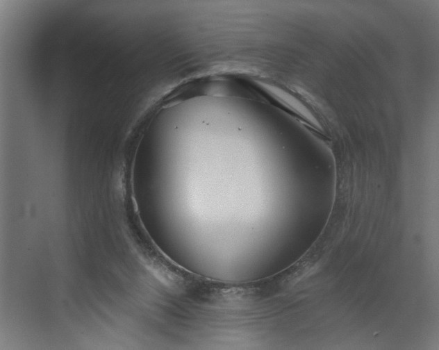 X0000072510064200607211408