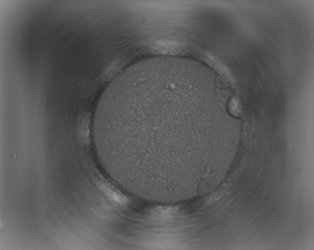 X0000072510065200607211408