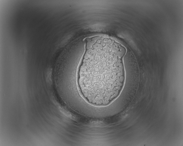 X0000072510066200607211408