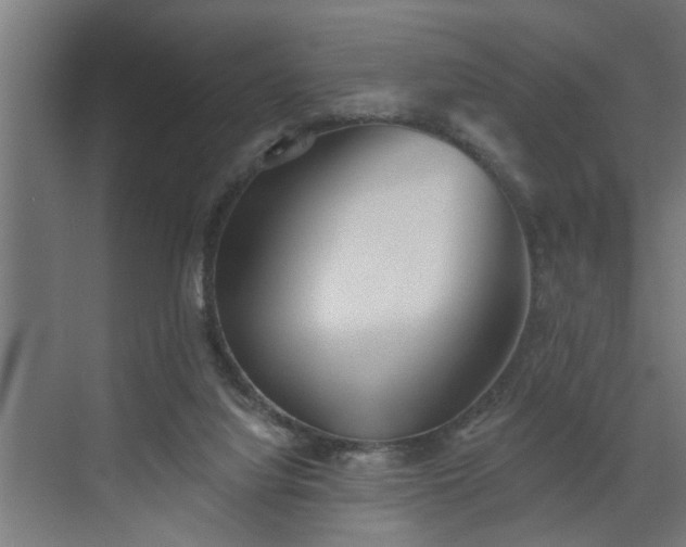 X0000072510068200607211408