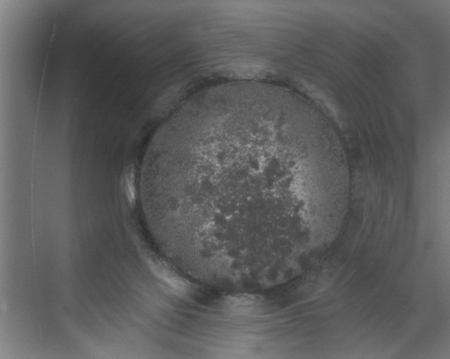 X0000072510069200607211408