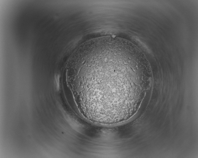 X0000072510070200607211408