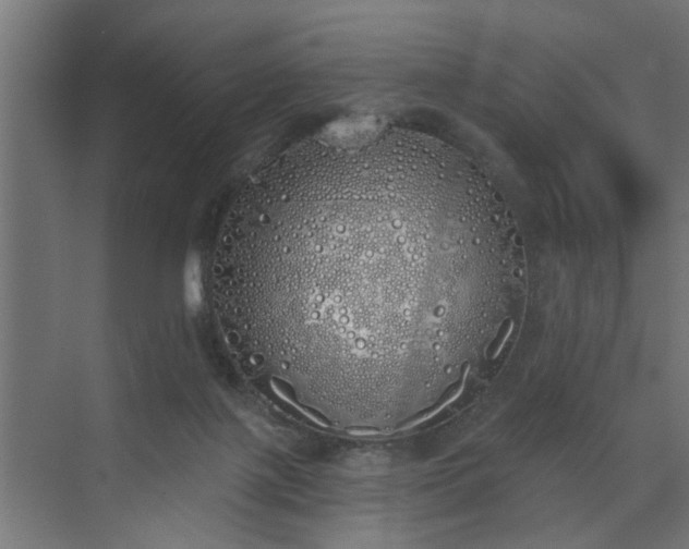 X0000072510075200607211408