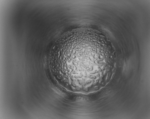 X0000072510077200607211408