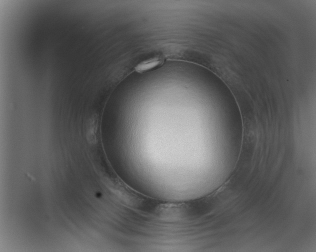 X0000072510082200607211408