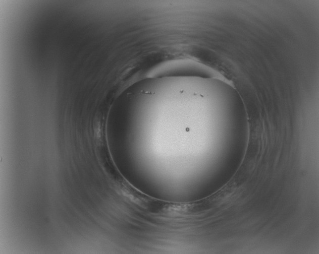 X0000072510084200607211408