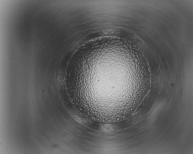 X0000072510091200607211408