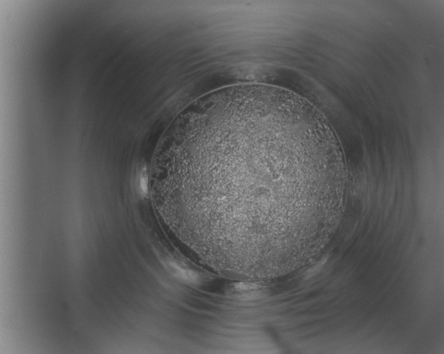 X0000072510095200607211408