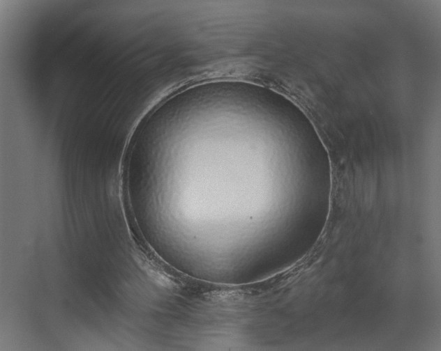 X0000072510100200607211408