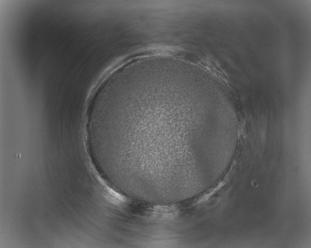 X0000072510101200607211408