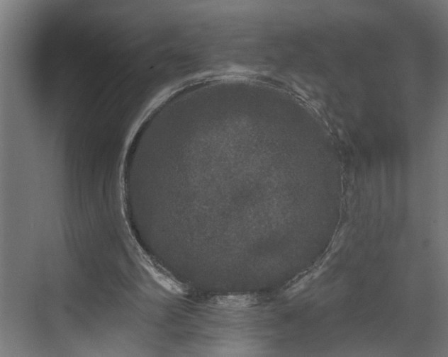 X0000072510102200607211408