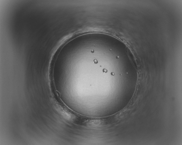 X0000072510104200607211408