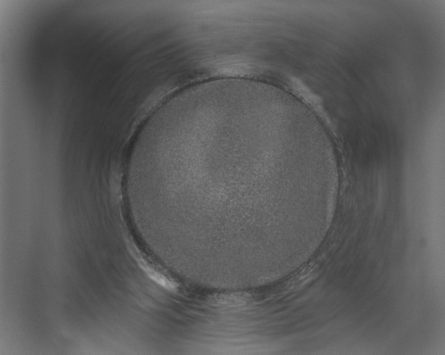 X0000072510106200607211408