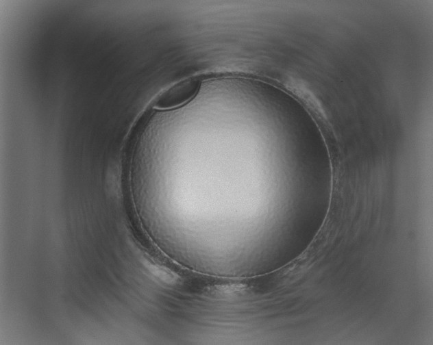 X0000072510108200607211408