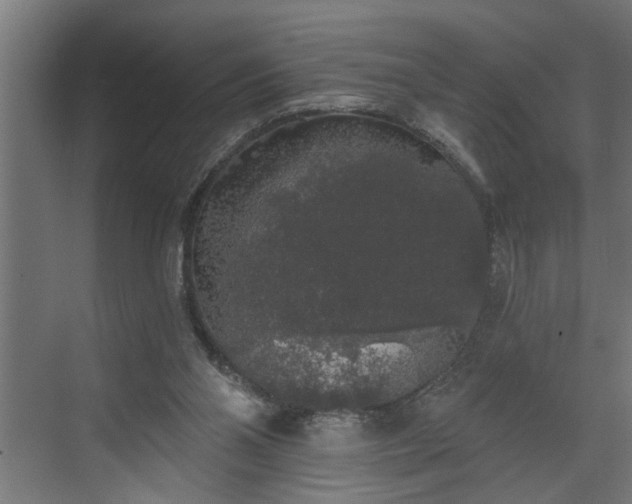 X0000072510110200607211407