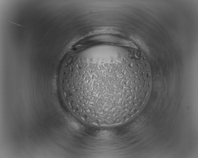 X0000072510111200607211407