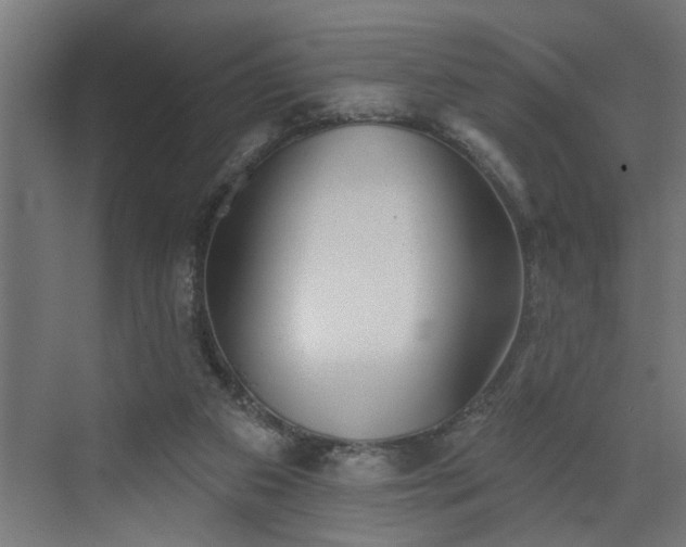 X0000072510113200607211407