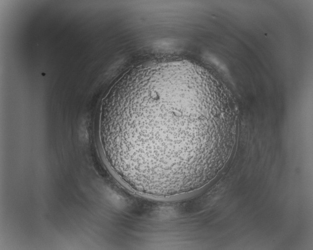 X0000072510114200607211407