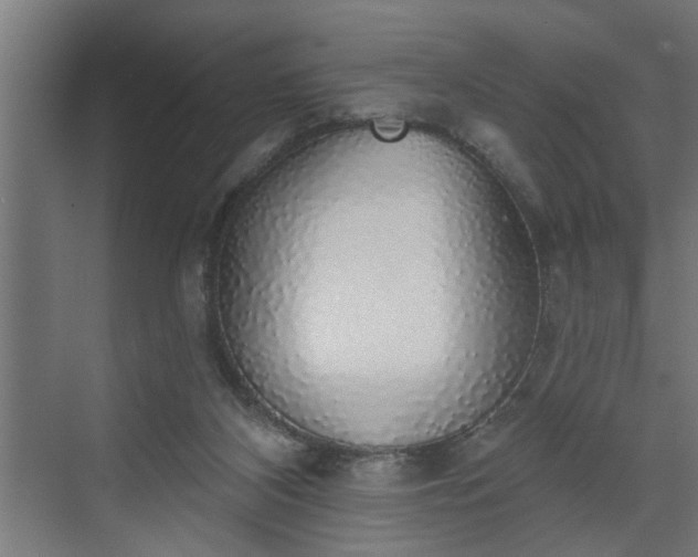 X0000072510116200607211407