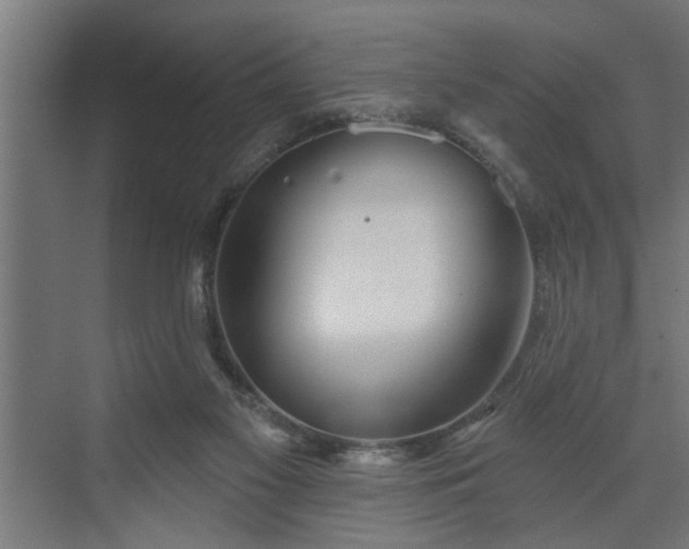 X0000072510117200607211407