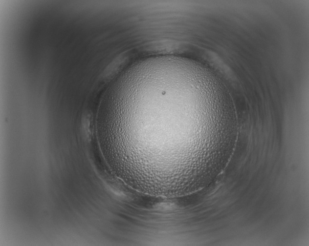 X0000072510119200607211407