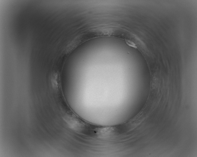 X0000072510122200607211407