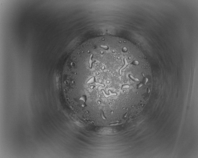 X0000072510123200607211407