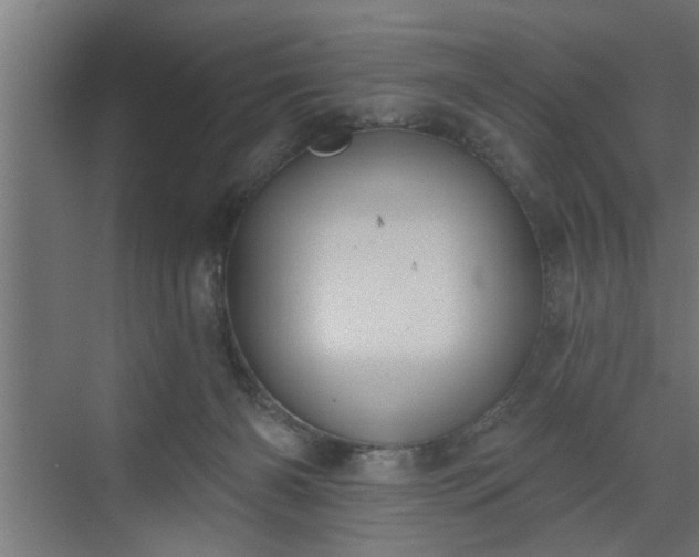 X0000072510126200607211407