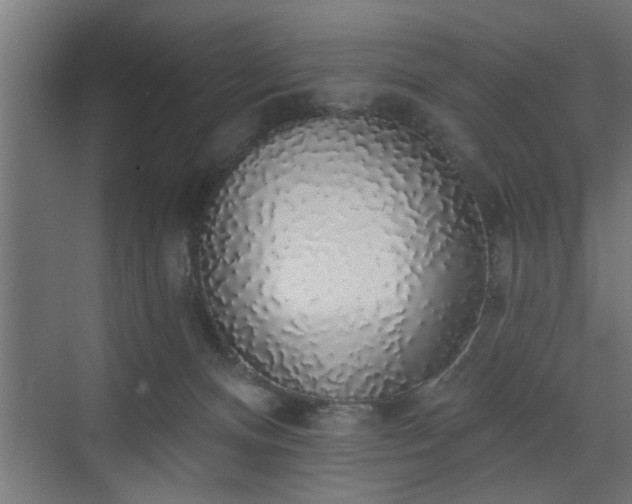 X0000072510128200607211407