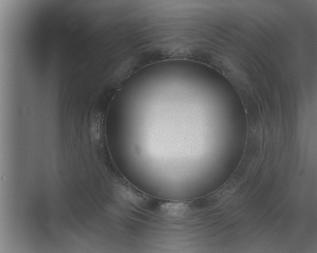 X0000072510133200607211407