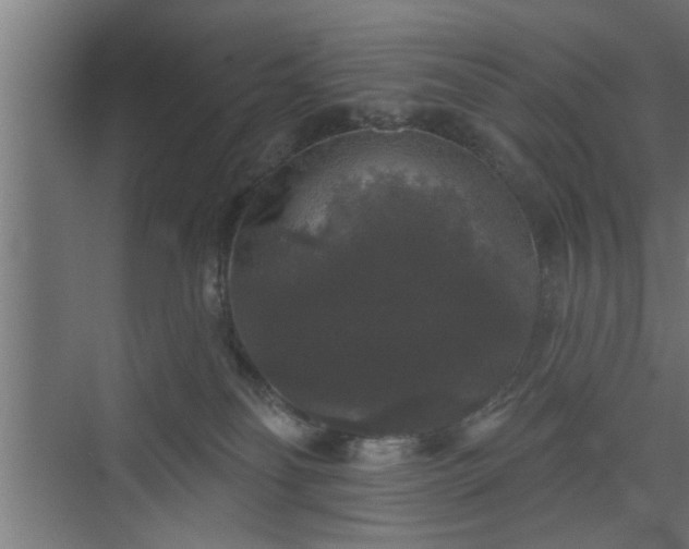 X0000072510134200607211407