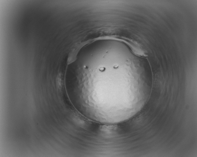 X0000072510135200607211407