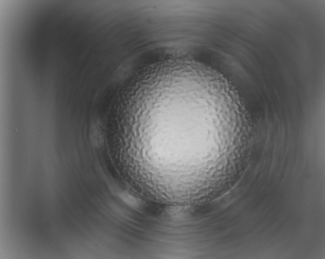 X0000072510136200607211407