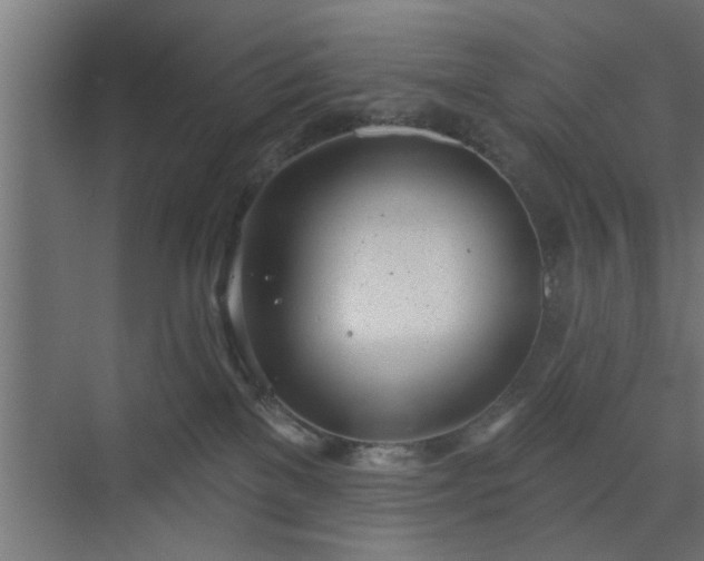 X0000072510137200607211407