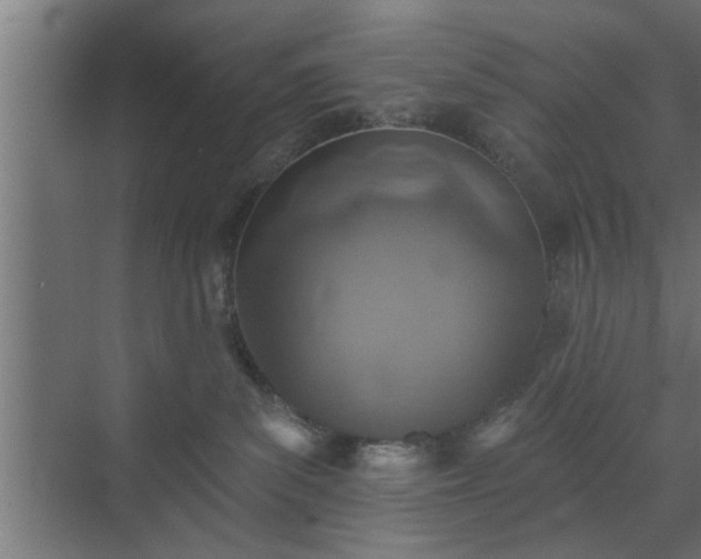 X0000072510139200607211407