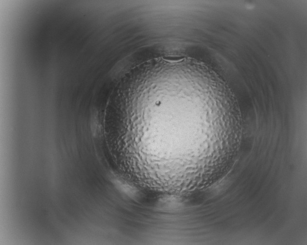 X0000072510140200607211407