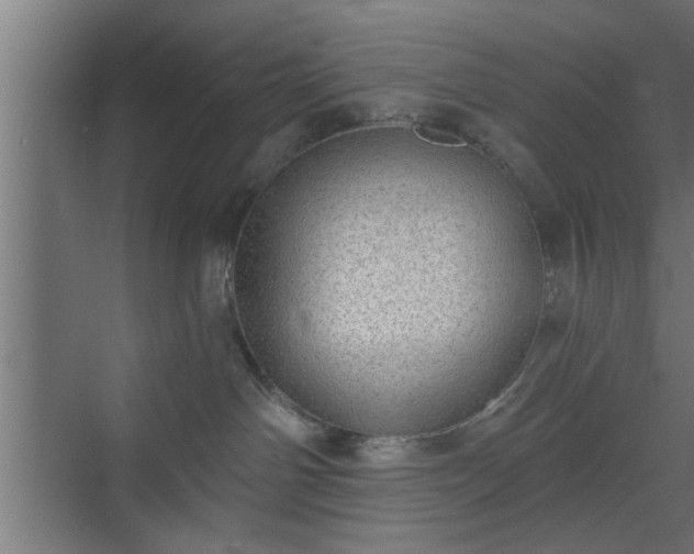 X0000072510142200607211407