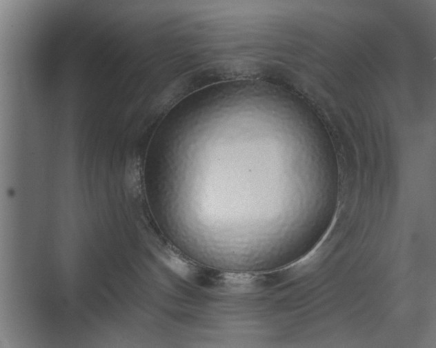 X0000072510144200607211407