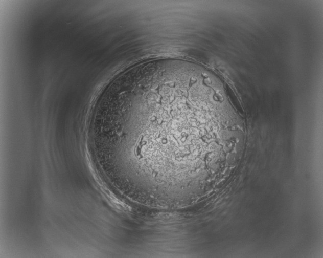 X0000072510145200607211406