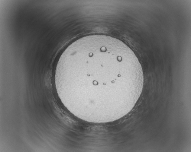 X0000072510146200607211406