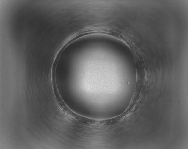 X0000072510148200607211406