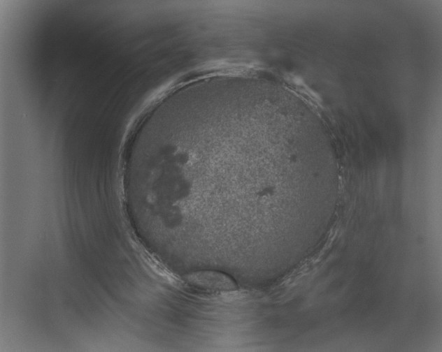 X0000072510149200607211406