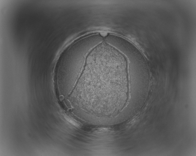 X0000072510151200607211406